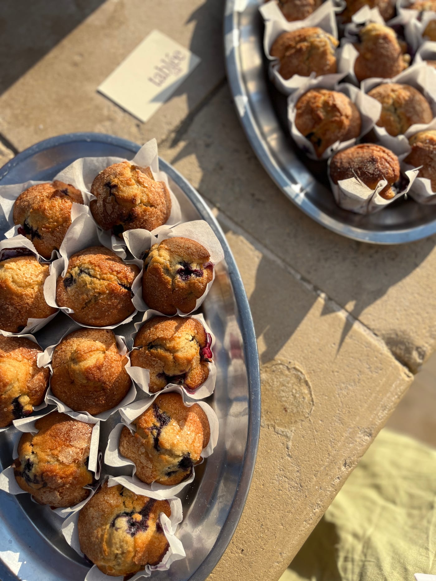 Plateaux de muffins aux myrtilles de tablée sud, au soleil du matin